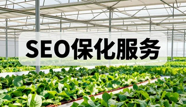 网络推广功能扩展中的技术适配实践与挑战
